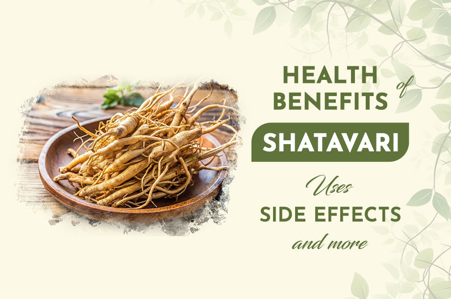 Benefits of Shatavari, its uses, side effects, and more Benefits of Shatavari, its uses, side effects, and more
