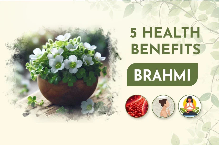 Health Benefits of Brahmi (Bacopa monnieri)
