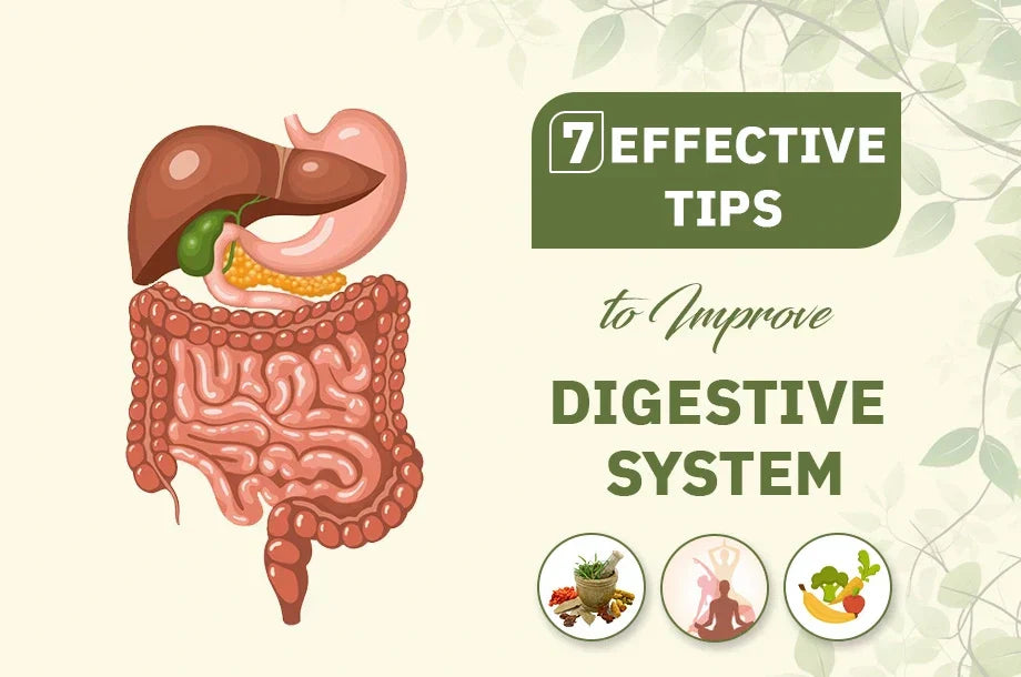 7 Effective Tips to Improve Digestive System