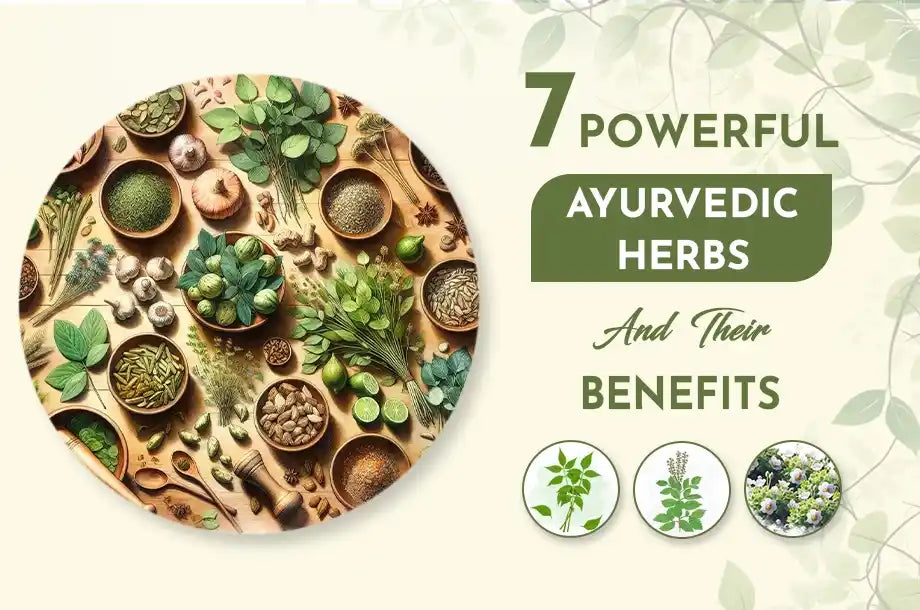 7 Powerful Ayurvedic Herbs and their Benefits