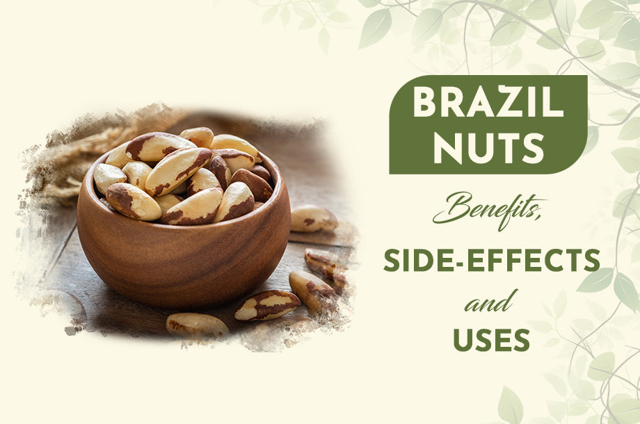 Brazil nuts Benefits, Side-effects, and Uses
