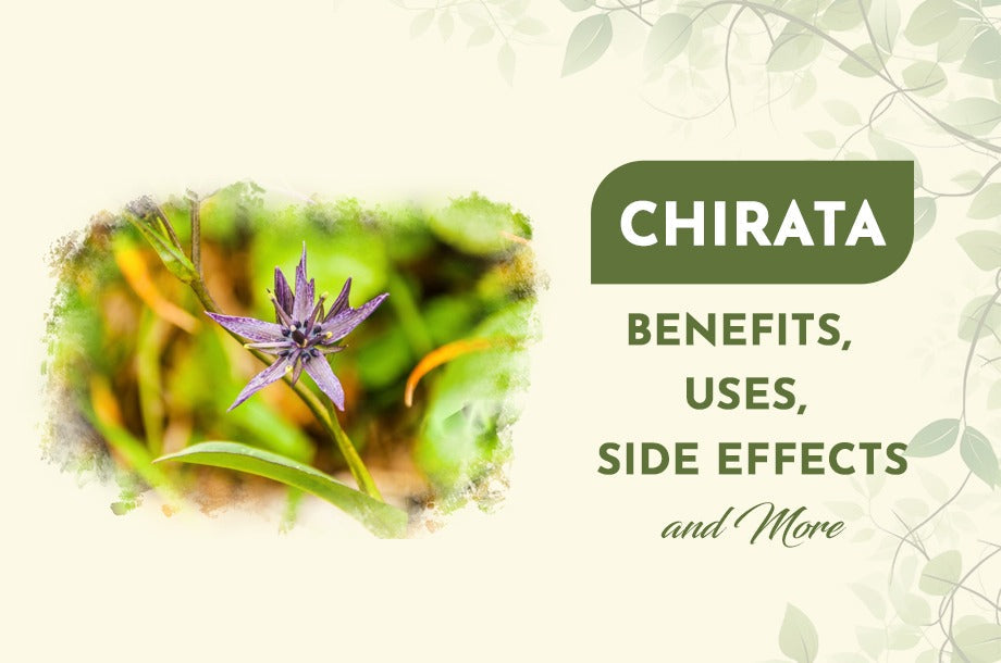 Chirata (Swertia Chirata): Benefits, Uses, Side Effects & More