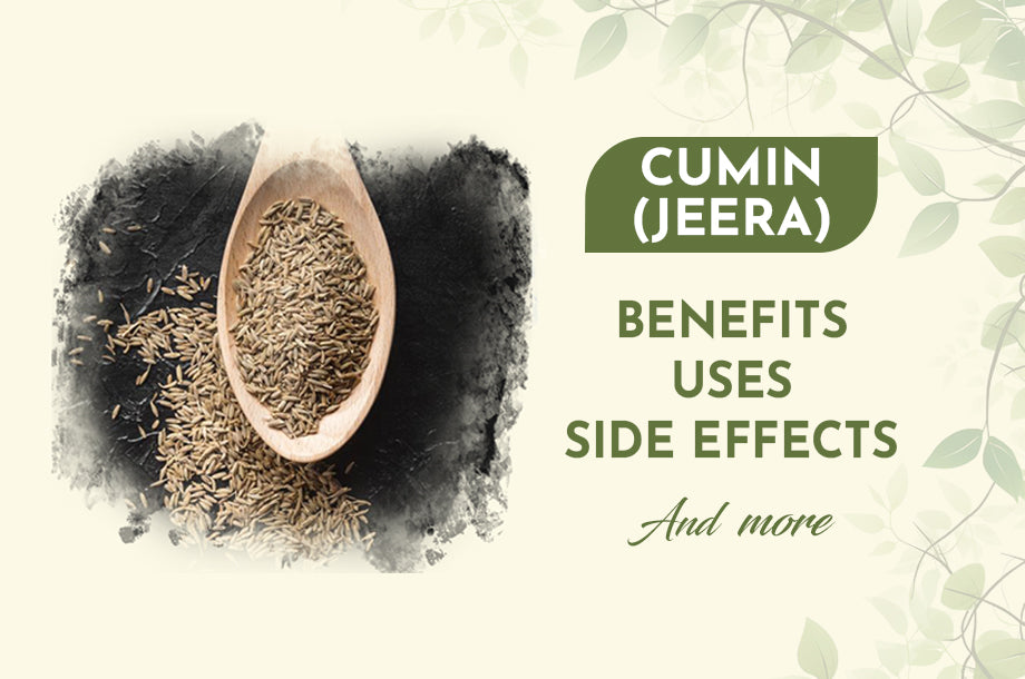 Cumin (Jeera) - Benefits, Uses, Side Effects, and More