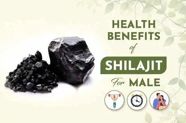 Health Benefits, Uses, and Risks of Shilajit
