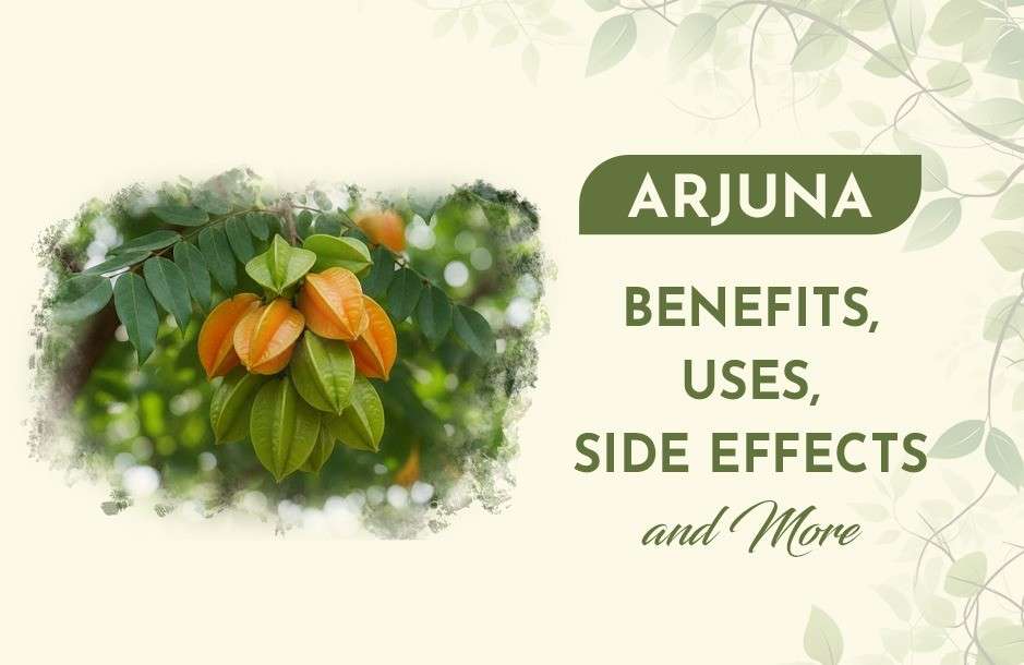 Arjuna: Benefits, Uses, Side Effects, and More