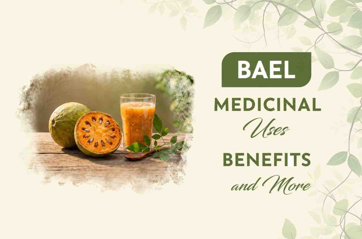 Bael: Medicinal Uses, Benefits and More