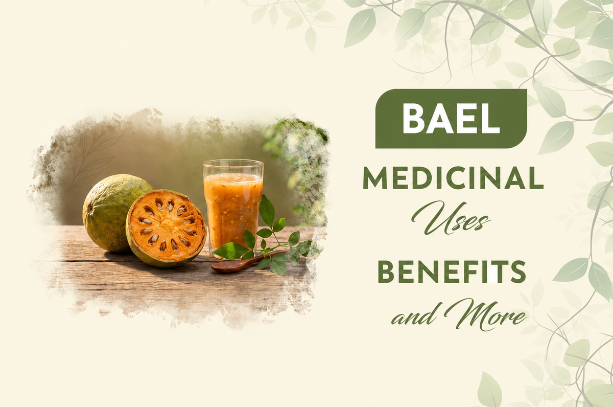 Bael: Medicinal Uses, Benefits and More