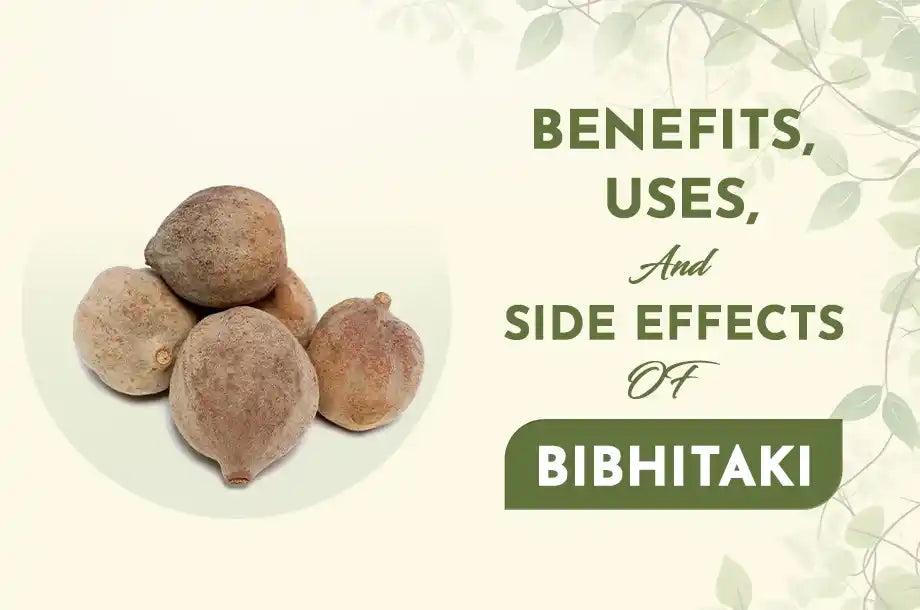 Health Benefits, Uses and Risks of Bibhitaki