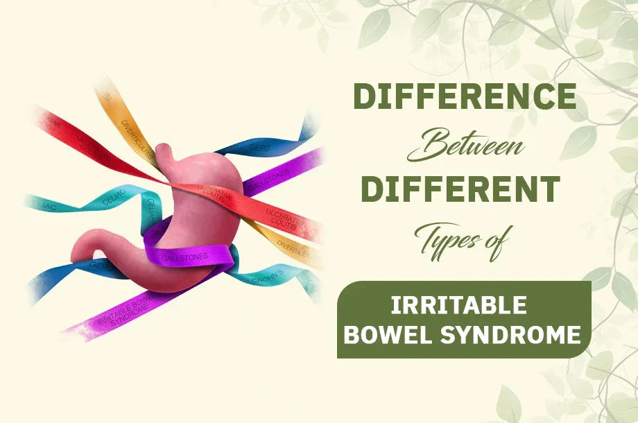 Understanding the difference between Different types of Irritable Bowel Syndrome (IBS)