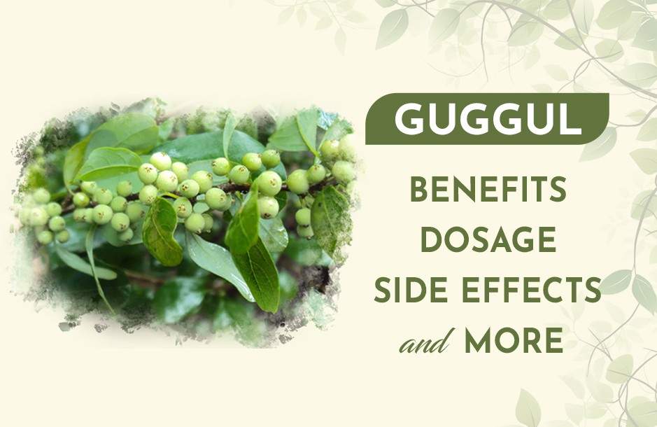 Guggul: Benefits, Dosage, Side Effects, and More