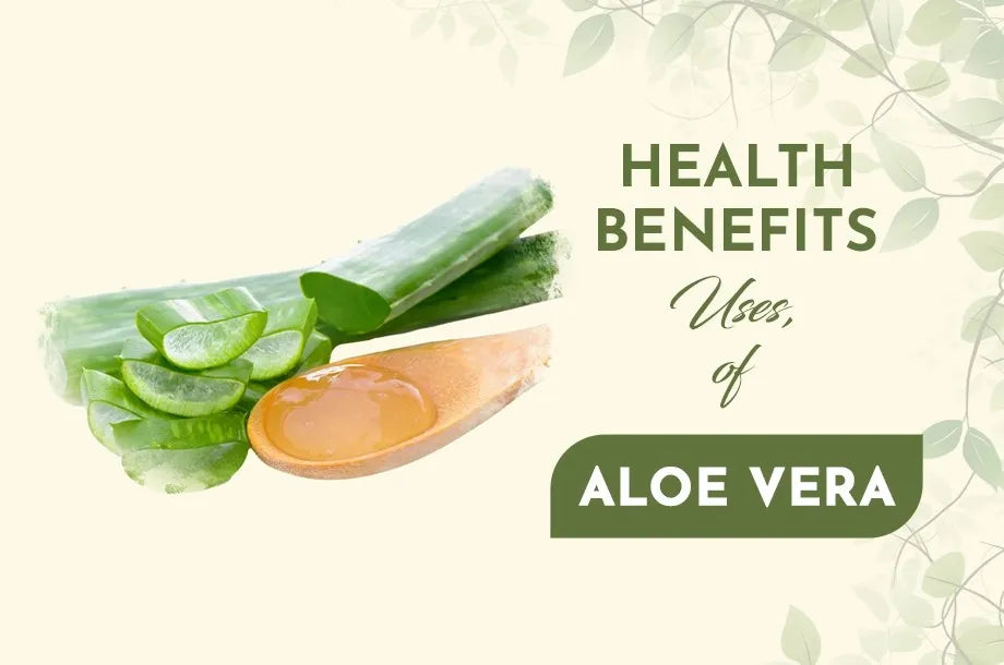 Aloe vera: Health Benefits, Uses, Formulations, and Side Effects