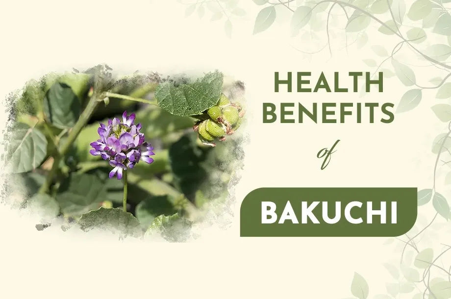 Bakuchi: History, Benefits, and Usage Tips
