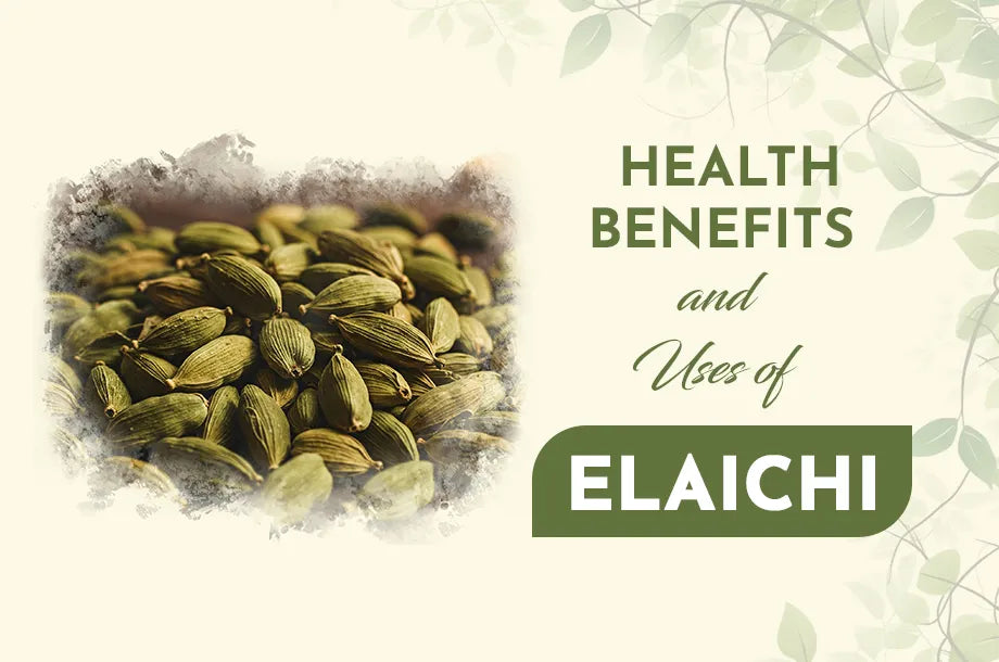 Elaichi (Cardamom): Benefits, Uses, Side Effects & More