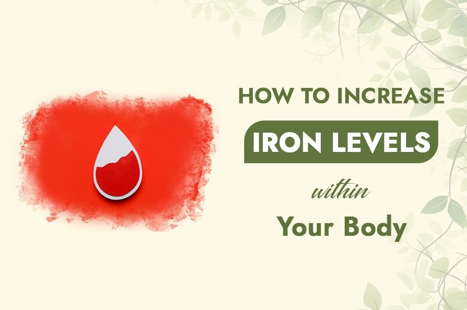 How to Increase Iron levels within your Body