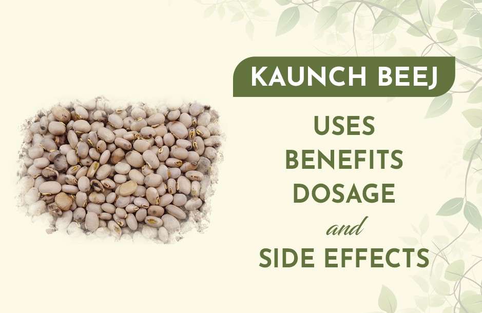 Kaunch Beej: Uses, Benefits, Dosage & Side Effects