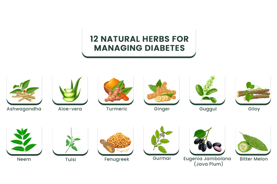 12-ayurevdic-herbs-for-diabetes-management