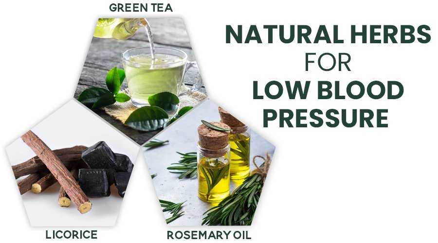 herbs for low blood pressure